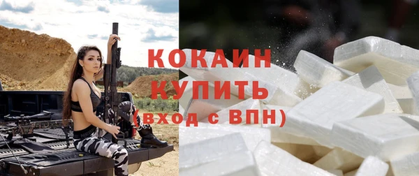 соль ск Няндома
