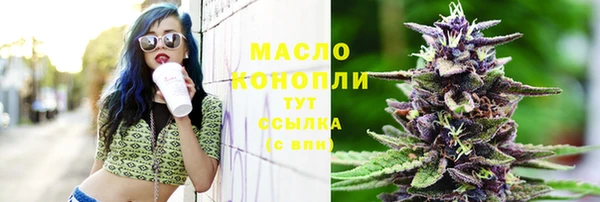 соль ск Няндома