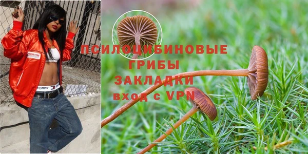 ГАЛЛЮЦИНОГЕННЫЕ ГРИБЫ Нягань