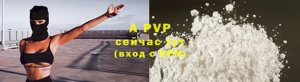 соль ск Няндома