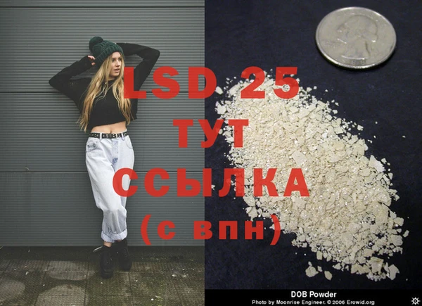 ГАЛЛЮЦИНОГЕННЫЕ ГРИБЫ Нягань