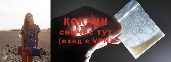 соль ск Няндома