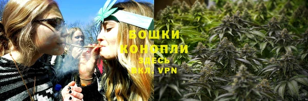 соль ск Няндома