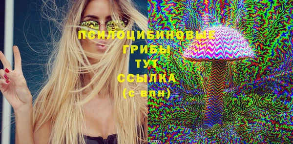 ГАЛЛЮЦИНОГЕННЫЕ ГРИБЫ Нягань