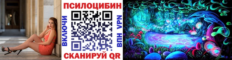 продажа наркотиков это формула Псилоцибиновые грибы мухоморы Светлоград